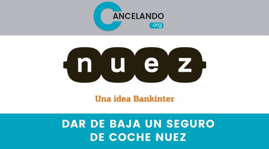 Dar de baja un seguro de coche Nuez